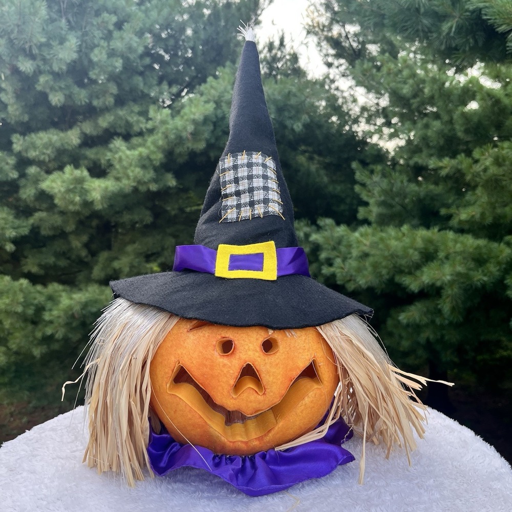 Gemmy Halloween Fiber Optic Light Up Jack O Lantern Scarecrow Witch